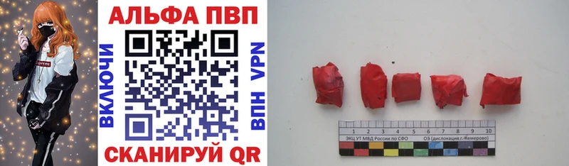 Alfa_PVP СК КРИС  Лодейное Поле 