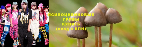 шишки Нягань