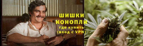 MESCALINE Осинники