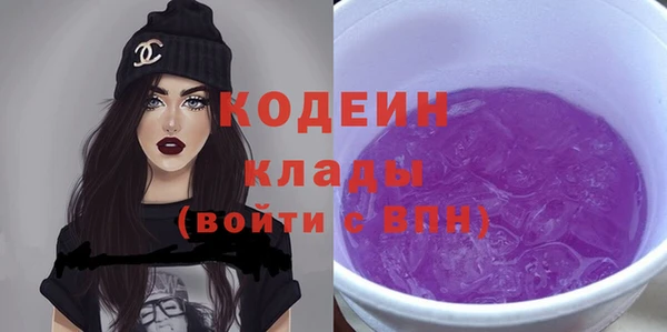 ECSTASY Няндома