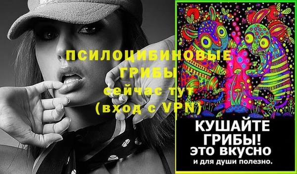 ECSTASY Няндома