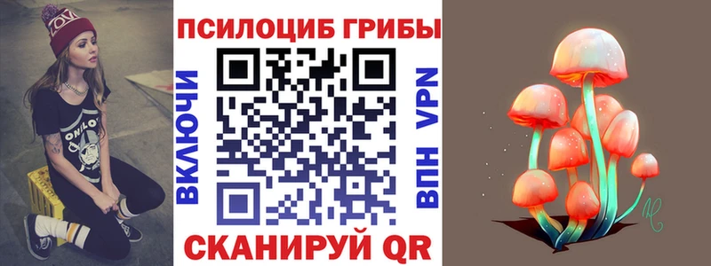 Галлюциногенные грибы Psilocybe  закладки  Лодейное Поле 